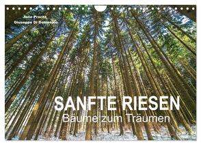 Sanfte Riesen – Bäume zum Träumen (Wandkalender 2024 DIN A4 quer), CALVENDO Monatskalender von Pracht und Giuseppe Di Domenico,  Jane