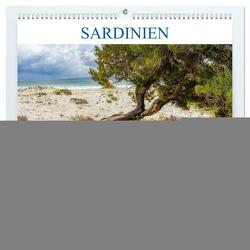 Sardinien Knorrige Bäume in urwüchsiger Landschaft (hochwertiger Premium Wandkalender 2024 DIN A2 quer), Kunstdruck in Hochglanz von Beuck,  Angelika