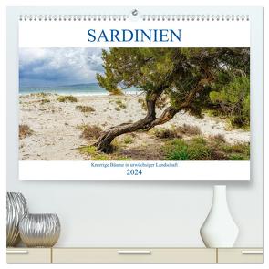 Sardinien Knorrige Bäume in urwüchsiger Landschaft (hochwertiger Premium Wandkalender 2024 DIN A2 quer), Kunstdruck in Hochglanz von Beuck,  Angelika