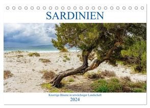 Sardinien Knorrige Bäume in urwüchsiger Landschaft (Tischkalender 2024 DIN A5 quer), CALVENDO Monatskalender von Beuck,  Angelika