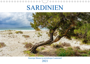 Sardinien Knorrige Bäume in urwüchsiger Landschaft (Wandkalender 2021 DIN A4 quer) von Beuck,  Angelika