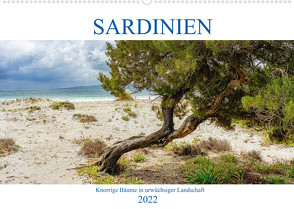 Sardinien Knorrige Bäume in urwüchsiger Landschaft (Wandkalender 2022 DIN A2 quer) von Beuck,  Angelika