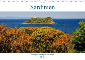 Sardinien – Sardigna – Sardegna – Sardenya (Wandkalender 2019 DIN A4 quer) von Witte,  Marek