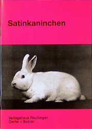 Satinkaninchen von Scholz,  Hans P