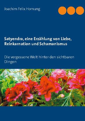 Satyendra, eine Erzählung von Liebe, Reinkarnation und Schamanismus von Hornung,  Joachim Felix