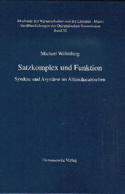 Satzkomplex und Funktion von Waltisberg,  Michael