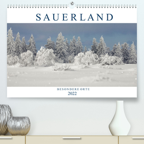 SAUERLAND – Besondere Orte (Premium, hochwertiger DIN A2 Wandkalender 2022, Kunstdruck in Hochglanz) von Bücker,  Heidi