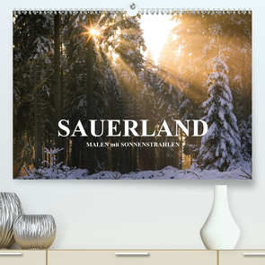 Sauerland – Malen mit Sonnenstrahlen (Premium, hochwertiger DIN A2 Wandkalender 2021, Kunstdruck in Hochglanz) von Bücker,  Heidi