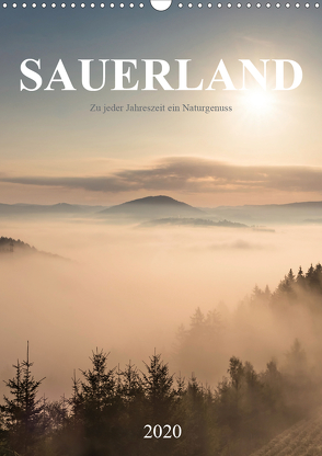 Sauerland, zu jeder Jahreszeit ein Naturgenuss (Wandkalender 2020 DIN A3 hoch) von Bücker,  Heidi