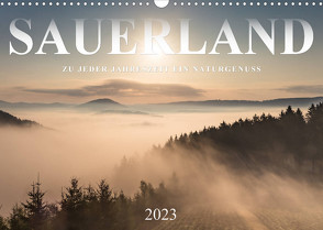 Sauerland, zu jeder Jahreszeit ein Naturgenuss (Wandkalender 2023 DIN A3 quer) von Bücker,  Heidi