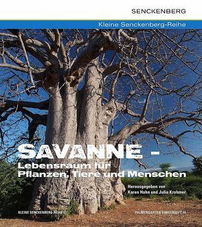 Savanne – Lebensraum für Pflanzen, Tiere und Menschen von Hahn,  Karen, Krohmer,  Julia