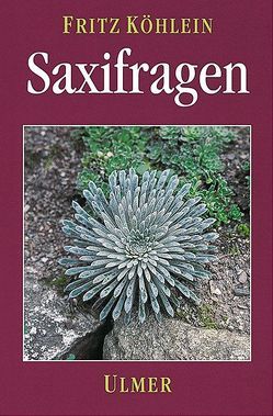 Saxifragen von Köhlein,  Fritz