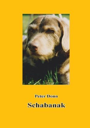 Schabanak von Donn,  Peter