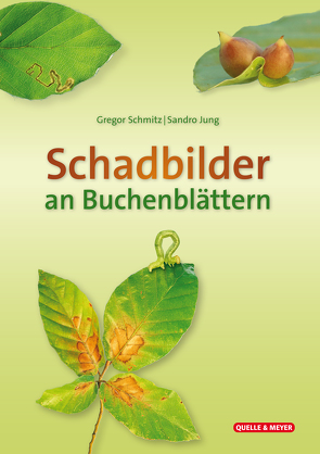 Schadbilder an Buchenblättern von Jung,  Sando, Schmitz,  Gregor