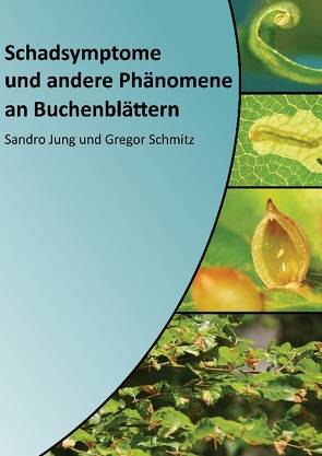 Schadsymptome und andere Phänomene an Buchenblättern von Jung,  Sandro, Schmitz,  Gregor