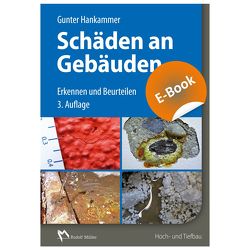 Schäden an Gebäuden – E-Book (PDF) von Hankammer,  Gunter