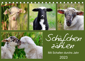 Schäfchen zählen – Mit Schafen durchs Jahr (Tischkalender 2023 DIN A5 quer) von Löwer,  Sabine