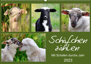 Schäfchen zählen – Mit Schafen durchs Jahr (Wandkalender 2023 DIN A2 quer) von Löwer,  Sabine