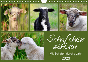 Schäfchen zählen – Mit Schafen durchs Jahr (Wandkalender 2023 DIN A4 quer) von Löwer,  Sabine