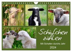 Schäfchen zählen – Mit Schafen durchs Jahr (Wandkalender 2024 DIN A4 quer), CALVENDO Monatskalender von Löwer,  Sabine