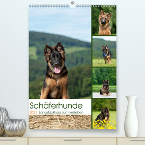 Schäferhunde Langstockhaar zum verlieben (Premium, hochwertiger DIN A2 Wandkalender 2021, Kunstdruck in Hochglanz) von Schiller,  Petra