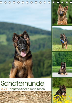 Schäferhunde Langstockhaar zum verlieben (Tischkalender 2021 DIN A5 hoch) von Schiller,  Petra