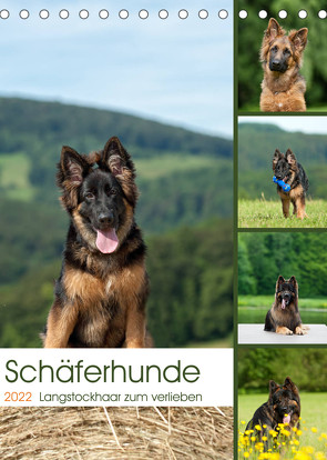 Schäferhunde Langstockhaar zum verlieben (Tischkalender 2022 DIN A5 hoch) von Schiller,  Petra