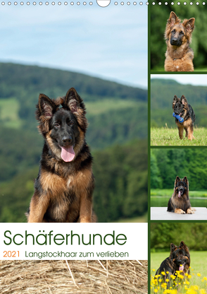 Schäferhunde Langstockhaar zum verlieben (Wandkalender 2021 DIN A3 hoch) von Schiller,  Petra