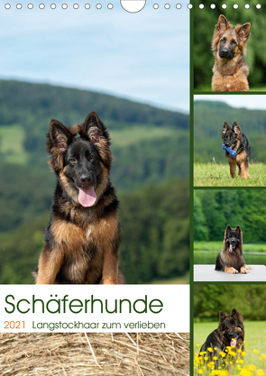 Schäferhunde Langstockhaar zum verlieben (Wandkalender 2021 DIN A4 hoch) von Schiller,  Petra