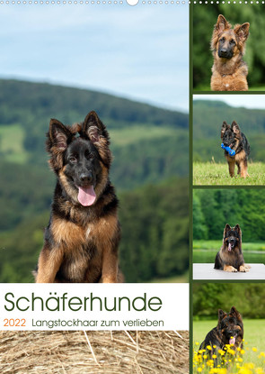 Schäferhunde Langstockhaar zum verlieben (Wandkalender 2022 DIN A2 hoch) von Schiller,  Petra