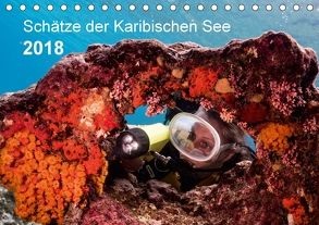 Schätze der Karibischen See (Tischkalender 2018 DIN A5 quer) von - Yvonne & Tilo Kühnast,  naturepics