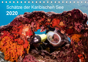 Schätze der Karibischen See (Tischkalender 2020 DIN A5 quer) von - Yvonne & Tilo Kühnast,  naturepics