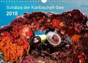 Schätze der Karibischen See (Wandkalender 2018 DIN A4 quer) von - Yvonne & Tilo Kühnast,  naturepics