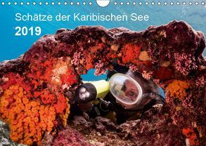 Schätze der Karibischen See (Wandkalender 2019 DIN A4 quer) von - Yvonne & Tilo Kühnast,  naturepics