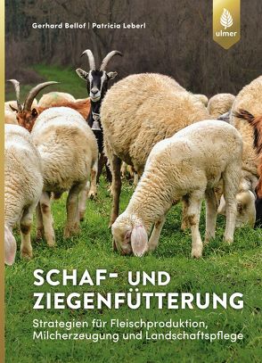 Schaf- und Ziegenfütterung von Bellof,  Gerhard, Leberl,  Patricia