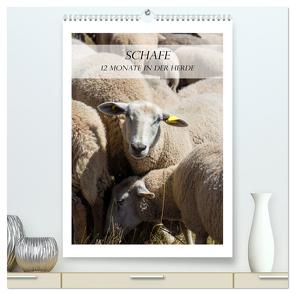 Schafe – 12 Monate in der Herde (hochwertiger Premium Wandkalender 2024 DIN A2 hoch), Kunstdruck in Hochglanz von und Philipp Kellmann,  Stefanie