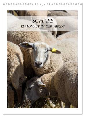 Schafe – 12 Monate in der Herde (Wandkalender 2024 DIN A3 hoch), CALVENDO Monatskalender von und Philipp Kellmann,  Stefanie