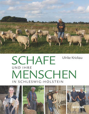 Schafe und ihre Menschen in Schleswig-Holstein von Krickau,  Ulrike