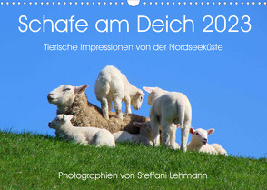 Schafe am Deich 2023. Tierische Impressionen von der Nordseeküste (Wandkalender 2023 DIN A3 quer) von Lehmann,  Steffani