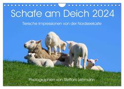 Schafe am Deich 2024. Tierische Impressionen von der Nordseeküste (Wandkalender 2024 DIN A4 quer), CALVENDO Monatskalender von Lehmann,  Steffani