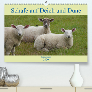 Schafe auf Deich und Düne (Premium, hochwertiger DIN A2 Wandkalender 2020, Kunstdruck in Hochglanz) von Lieckfeldt,  Thorleif