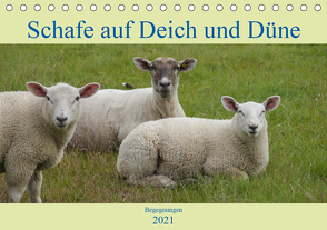 Schafe auf Deich und Düne (Tischkalender 2021 DIN A5 quer) von Lieckfeldt,  Thorleif