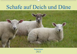 Schafe auf Deich und Düne (Wandkalender 2021 DIN A2 quer) von Lieckfeldt,  Thorleif