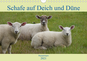 Schafe auf Deich und Düne (Wandkalender 2021 DIN A4 quer) von Lieckfeldt,  Thorleif