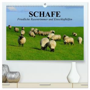 Schafe. Friedliche Rasentrimmer und Einschlafhilfen (hochwertiger Premium Wandkalender 2024 DIN A2 quer), Kunstdruck in Hochglanz von Stanzer,  Elisabeth