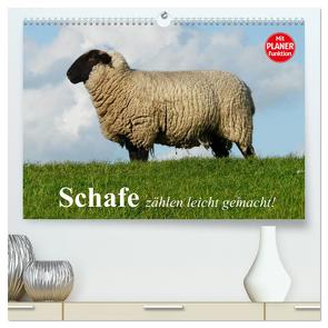 Schafe zählen leicht gemacht! (hochwertiger Premium Wandkalender 2024 DIN A2 quer), Kunstdruck in Hochglanz von Stanzer,  Elisabeth