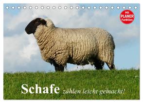 Schafe zählen leicht gemacht! (Tischkalender 2024 DIN A5 quer), CALVENDO Monatskalender von Stanzer,  Elisabeth