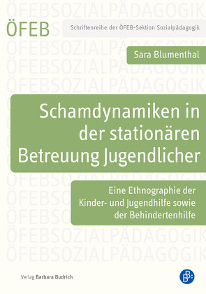 Schamdynamiken in der stationären Betreuung Jugendlicher von Blumenthal,  Sara