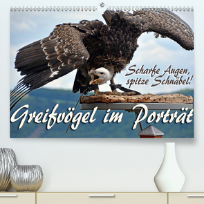 Scharfe Augen, spitze Schnäbel! Greifvögel im Porträt (Premium, hochwertiger DIN A2 Wandkalender 2021, Kunstdruck in Hochglanz) von Reiter,  Monika