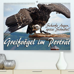 Scharfe Augen, spitze Schnäbel! Greifvögel im Porträt (Premium, hochwertiger DIN A2 Wandkalender 2022, Kunstdruck in Hochglanz) von Reiter,  Monika